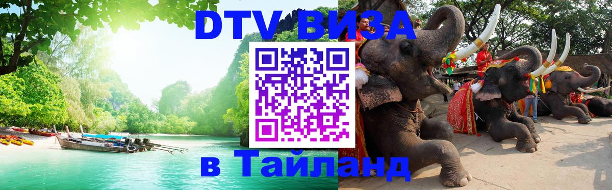 Сколько стоит DTV виза — актуальные цены, оформление даже без документов - Саранск  05.10.2025 